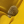 mrHedgehog's avatar
