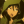 Ceora's avatar