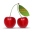 SUPER Cherry's avatar