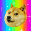 DogeDev's avatar