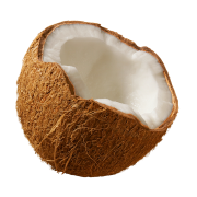 CoconutCity's avatar