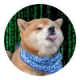 Doge 22B's avatar