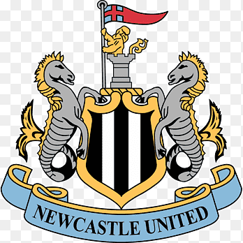 Newcastle lad 15's avatar