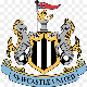 Newcastle lad 15's avatar