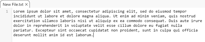 The Text Editor