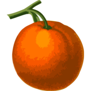 Orange Lime Fruits's avatar