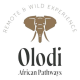 olodiafricanpathways's avatar