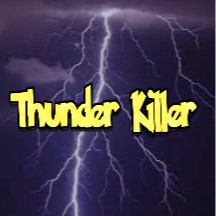 ThunderKiller's avatar