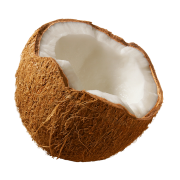 CoconutCity's avatar