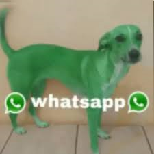 perro whatsapp's avatar