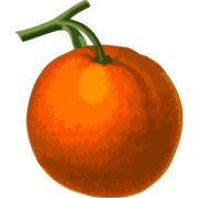 Orange Lime Fruits's avatar