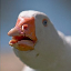 _goose_'s avatar