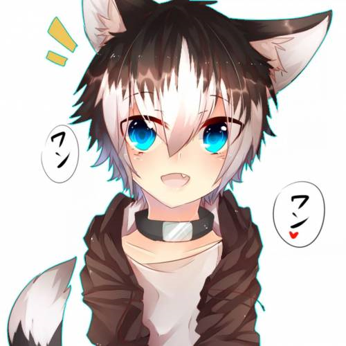 MegaTechWolf's avatar