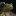 CosmoToad's avatar