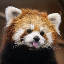 RedPandaPW's avatar