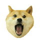 DogeGPS's avatar