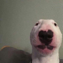 skyeekkj's avatar