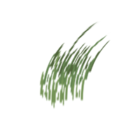Addon icon