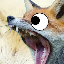 fuzzy_foxf's avatar