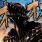 Kyume's avatar