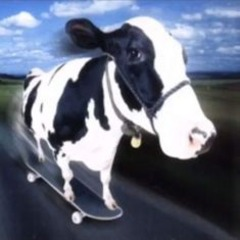 knubbsal_swe's avatar