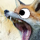 fuzzy_foxf's avatar