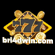 bri4dvip's avatar
