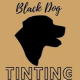 blackdogtinting's avatar