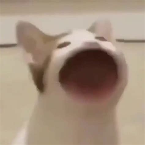 UrFavMoni's avatar