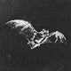 StrychnineTwitch's avatar