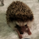 Yezhik_Krutoi's avatar