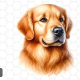Doggoman12_'s avatar