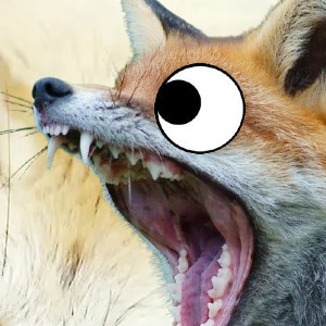 fuzzy_foxf's avatar