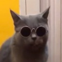 Oi_MeowMeowMeowMeow's avatar