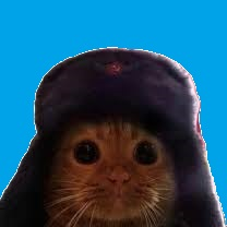 chaton communiste's avatar