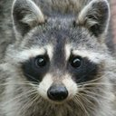 guilhermeGUI's avatar