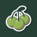 Green Cherry Studio's avatar