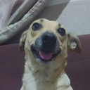 _LuizMatheus's avatar