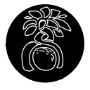 KiwiTree's avatar
