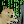 Circe_Cat's avatar