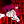 exPiha's avatar