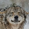 crownedking's avatar