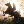 gl2377's avatar