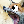 fuzzy_foxf's avatar