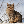 valenko's avatar