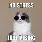GamingCat9439's avatar