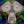 jimmytimmybuilder's avatar
