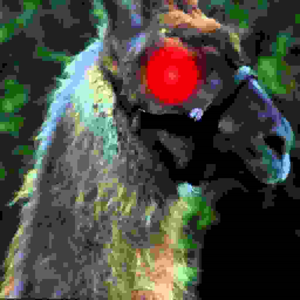 Jason_251777's avatar