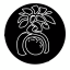 KiwiTree's avatar