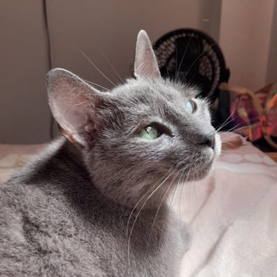 Oremirad's avatar